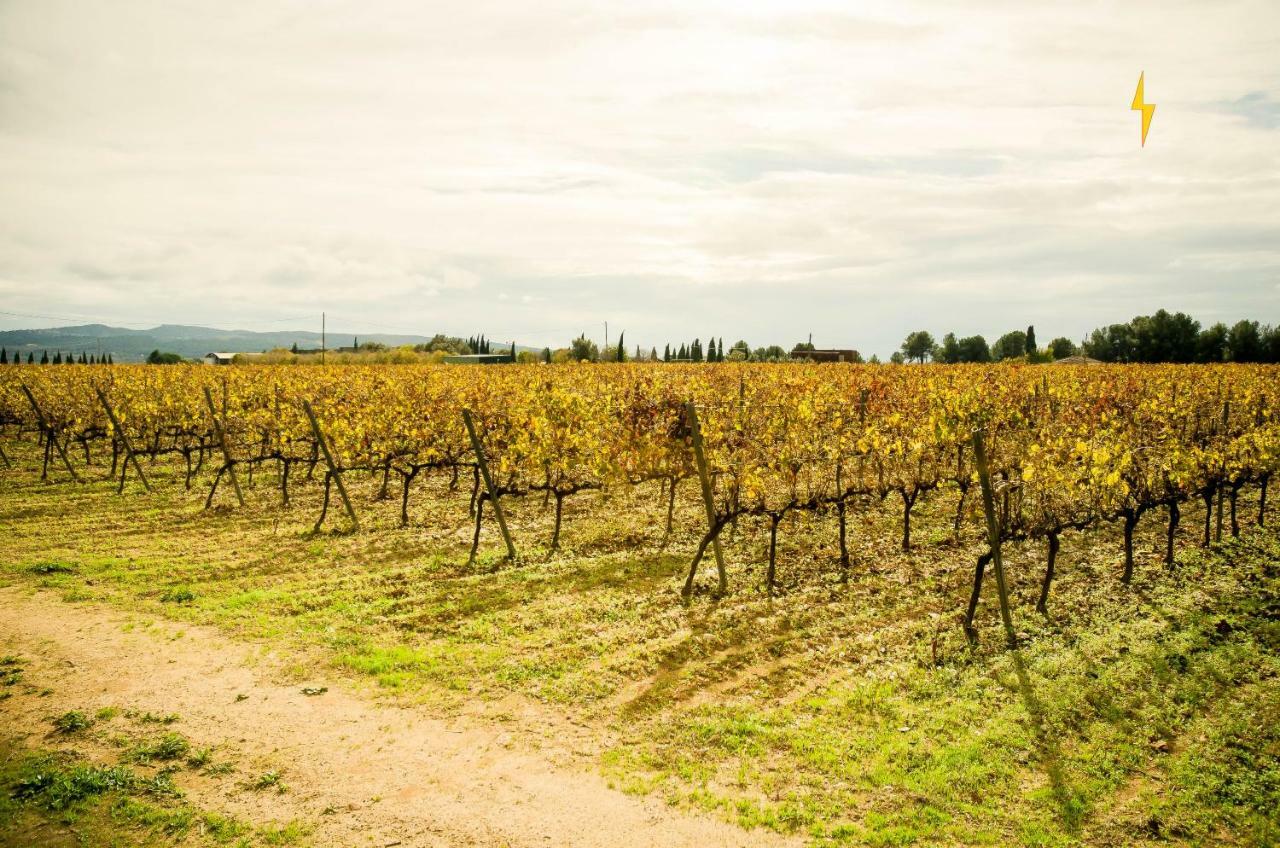 B&B Tina De Pacs, Close To Local Wineries Pacs del Penedes Exterior foto